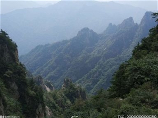 渤海大学在全国排多少名？渤海大学是985和211大学吗？